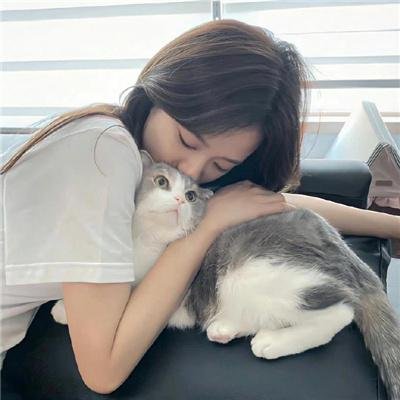 银翼情人
